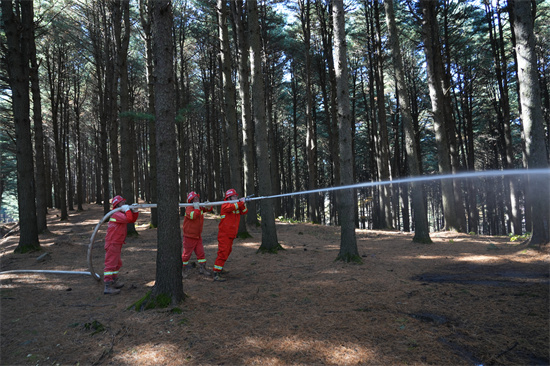 興參林場開展實戰(zhàn)化森林滅火演練（2）.jpg